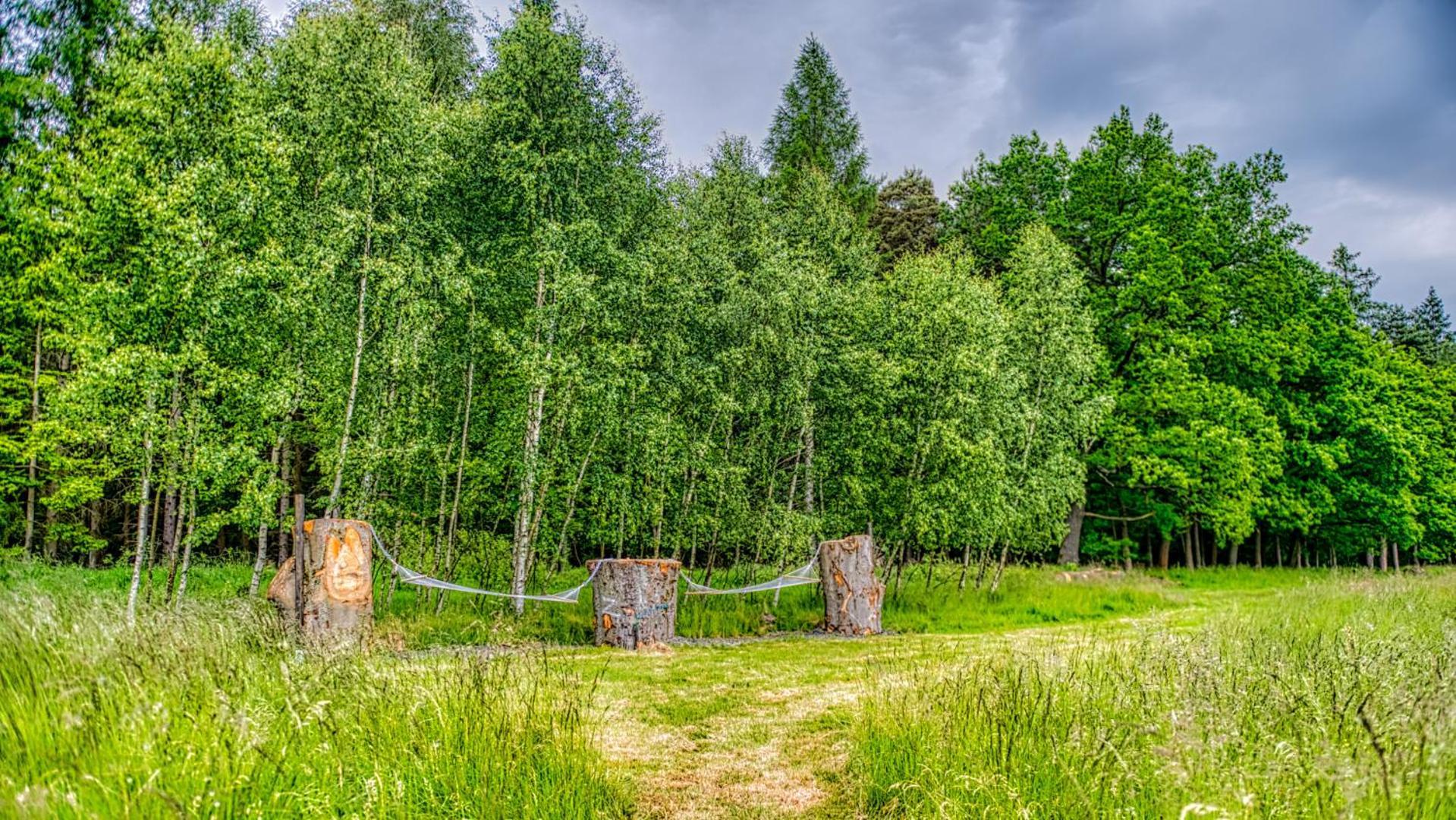Izerska Baza - Basen, Ebike, Narty, Sauna, Jacuzzi, Las Blisko Swieradow Zdroj - 5D Apartamenty Ґебултув Екстер'єр фото
